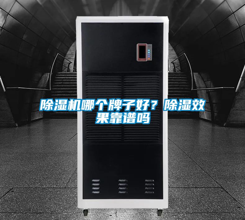 除濕機哪個牌子好？除濕效果靠譜嗎