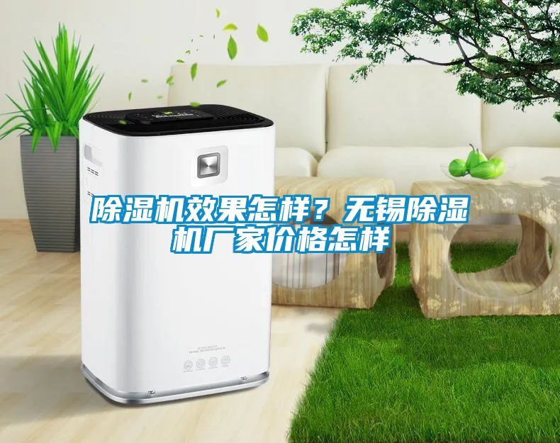 除濕機效果怎樣？無錫除濕機廠家價格怎樣