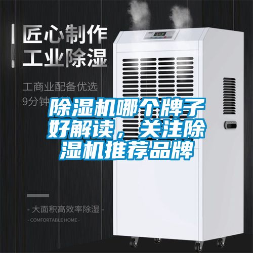 除濕機(jī)哪個(gè)牌子好解讀，關(guān)注除濕機(jī)推薦品牌