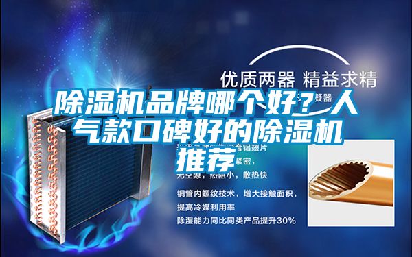 除濕機(jī)品牌哪個好？人氣款口碑好的除濕機(jī)推薦