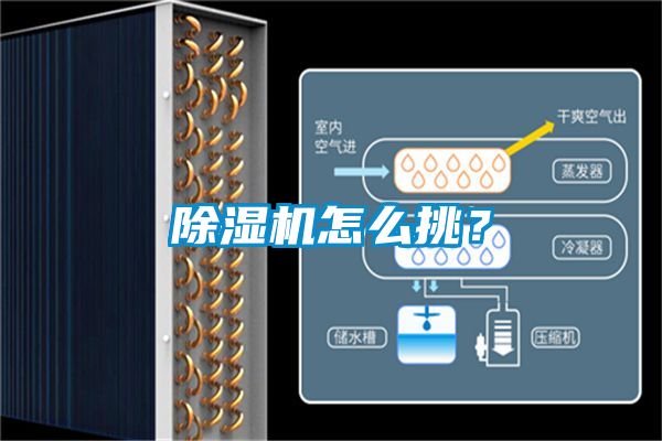 除濕機(jī)怎么挑？