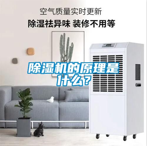 除濕機(jī)的原理是什么？