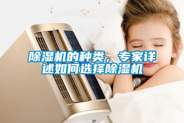 除濕機的種類，專家詳述如何選擇除濕機