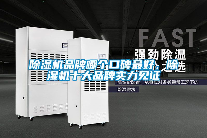 除濕機(jī)品牌哪個(gè)口碑最好，除濕機(jī)十大品牌實(shí)力見證
