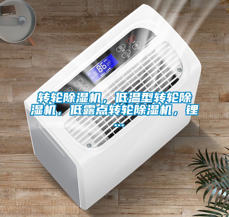 轉(zhuǎn)輪除濕機，低溫型轉(zhuǎn)輪除濕機，低露點轉(zhuǎn)輪除濕機，鋰 ...