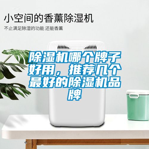 除濕機(jī)哪個(gè)牌子好用，推薦幾個(gè)最好的除濕機(jī)品牌