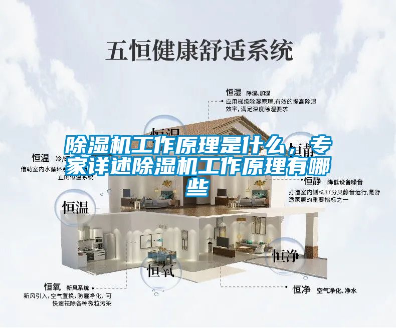 除濕機(jī)工作原理是什么，專家詳述除濕機(jī)工作原理有哪些