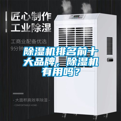 除濕機排名前十大品牌，除濕機有用嗎？