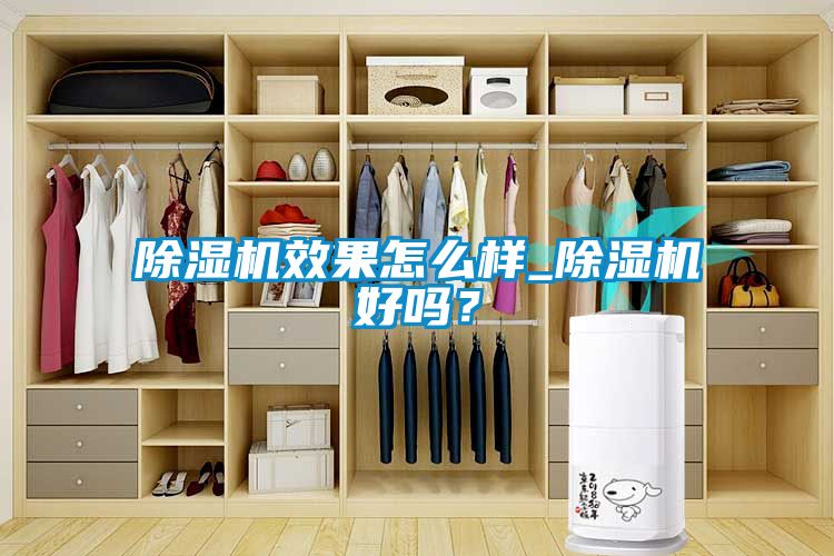 除濕機(jī)效果怎么樣_除濕機(jī)好嗎？