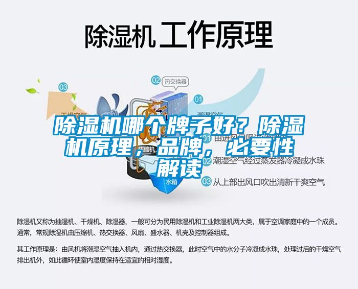 除濕機(jī)哪個牌子好？除濕機(jī)原理，品牌，必要性解讀