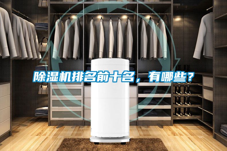 除濕機排名前十名，有哪些？