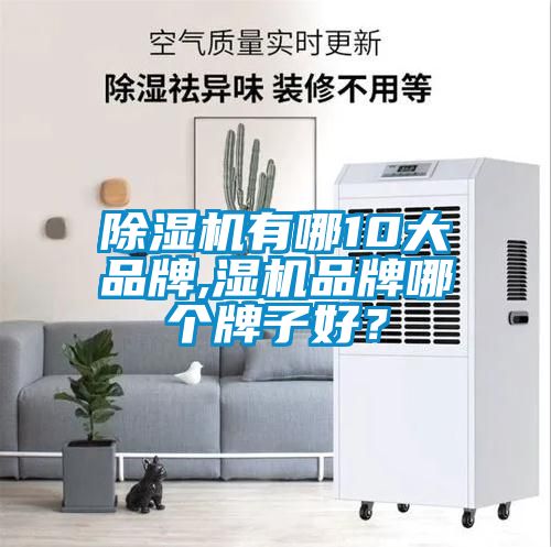 除濕機有哪10大品牌,濕機品牌哪個牌子好？