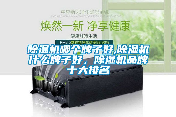 除濕機(jī)哪個(gè)牌子好,除濕機(jī)什么牌子好，除濕機(jī)品牌十大排名