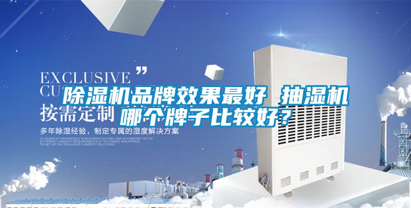 除濕機(jī)品牌效果最好 抽濕機(jī)哪個(gè)牌子比較好？