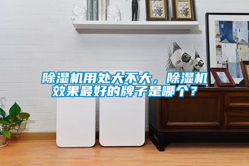 除濕機(jī)用處大不大，除濕機(jī)效果最好的牌子是哪個(gè)？
