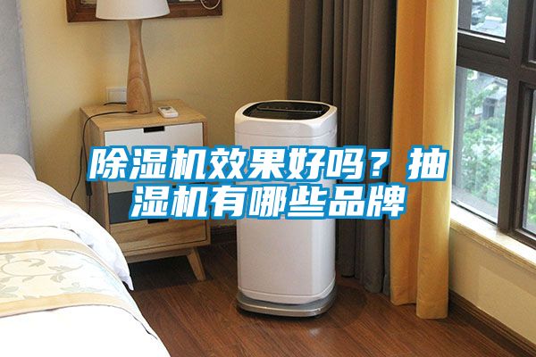 除濕機(jī)效果好嗎？抽濕機(jī)有哪些品牌