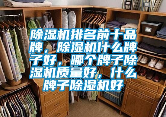 除濕機(jī)排名前十品牌，除濕機(jī)什么牌子好，哪個(gè)牌子除濕機(jī)質(zhì)量好，什么牌子除濕機(jī)好