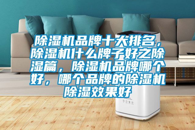 除濕機(jī)品牌十大排名，除濕機(jī)什么牌子好之除濕篇，除濕機(jī)品牌哪個好，哪個品牌的除濕機(jī)除濕效果好