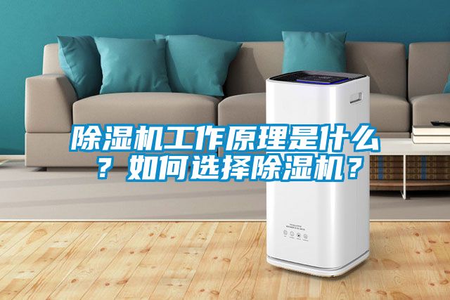 除濕機(jī)工作原理是什么？如何選擇除濕機(jī)？