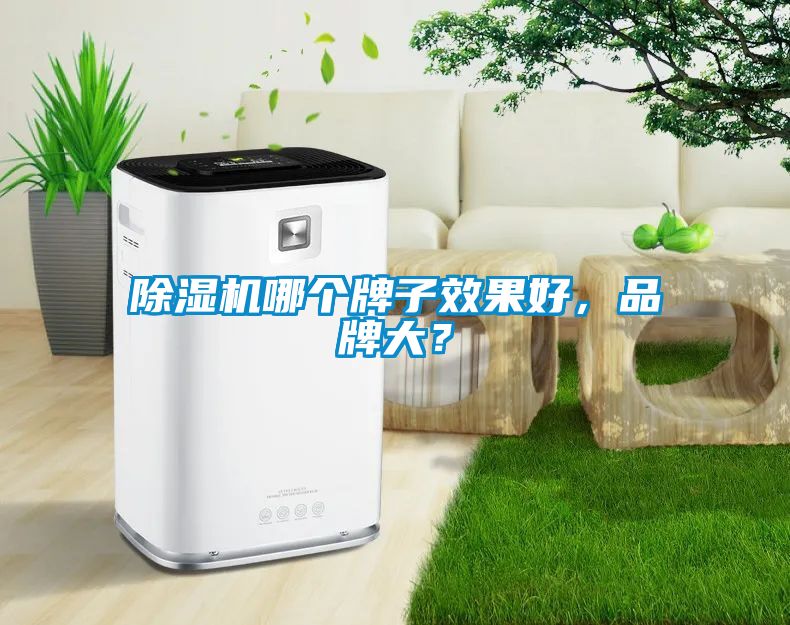 除濕機哪個牌子效果好，品牌大？
