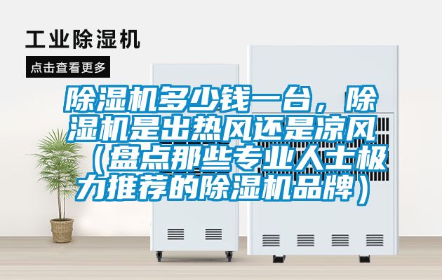 除濕機(jī)多少錢一臺(tái)，除濕機(jī)是出熱風(fēng)還是涼風(fēng)（盤點(diǎn)那些專業(yè)人士極力推薦的除濕機(jī)品牌）