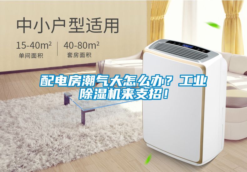 配電房潮氣大怎么辦？工業(yè)除濕機(jī)來(lái)支招！