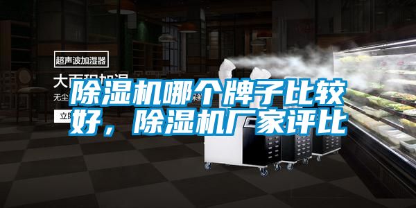 除濕機哪個牌子比較好，除濕機廠家評比
