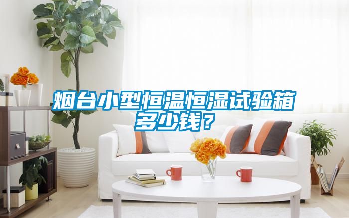 煙臺小型恒溫恒濕試驗(yàn)箱多少錢？