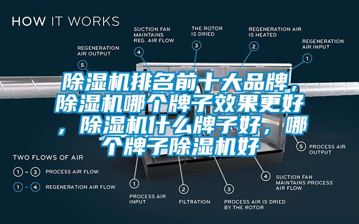 除濕機(jī)排名前十大品牌，除濕機(jī)哪個(gè)牌子效果更好，除濕機(jī)什么牌子好，哪個(gè)牌子除濕機(jī)好