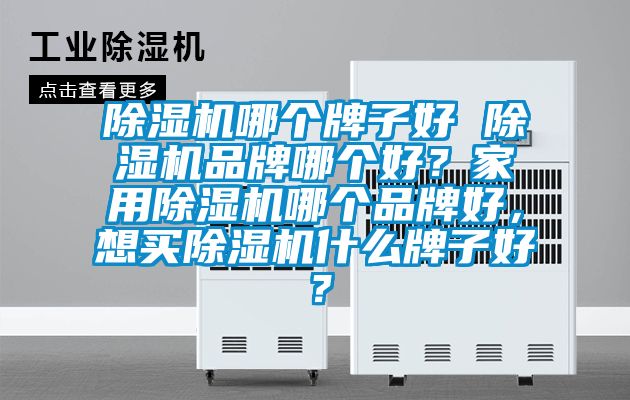 除濕機(jī)哪個(gè)牌子好 除濕機(jī)品牌哪個(gè)好？家用除濕機(jī)哪個(gè)品牌好，想買除濕機(jī)什么牌子好？