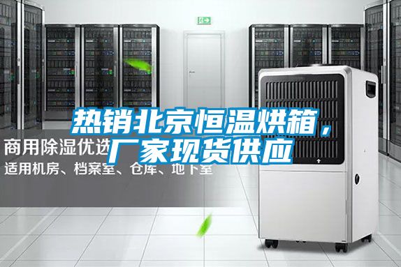 熱銷北京恒溫烘箱，廠家現(xiàn)貨供應(yīng)