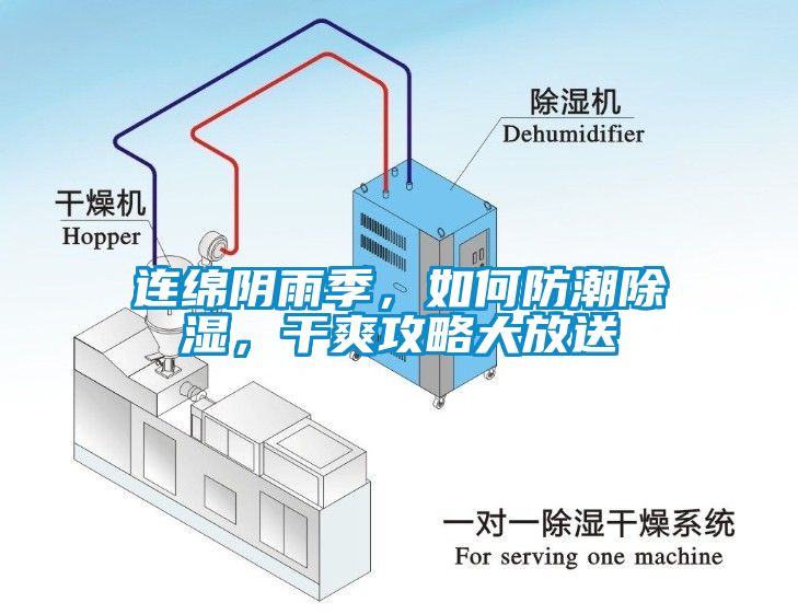 連綿陰雨季，如何防潮除濕，干爽攻略大放送