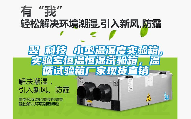 翌昇科技 小型溫濕度實驗箱，實驗室恒溫恒濕試驗箱，溫循試驗箱廠家現(xiàn)貨直銷