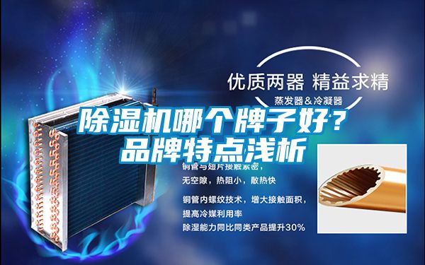 除濕機(jī)哪個(gè)牌子好？品牌特點(diǎn)淺析