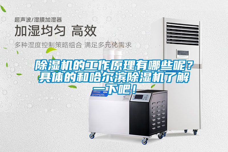 除濕機的工作原理有哪些呢？具體的和哈爾濱除濕機了解一下吧！