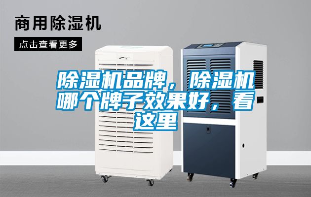 除濕機(jī)品牌，除濕機(jī)哪個(gè)牌子效果好，看這里