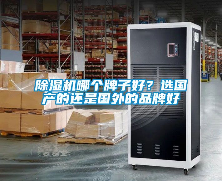 除濕機(jī)哪個(gè)牌子好？選國(guó)產(chǎn)的還是國(guó)外的品牌好