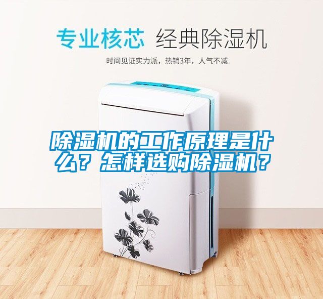 除濕機的工作原理是什么？怎樣選購除濕機？