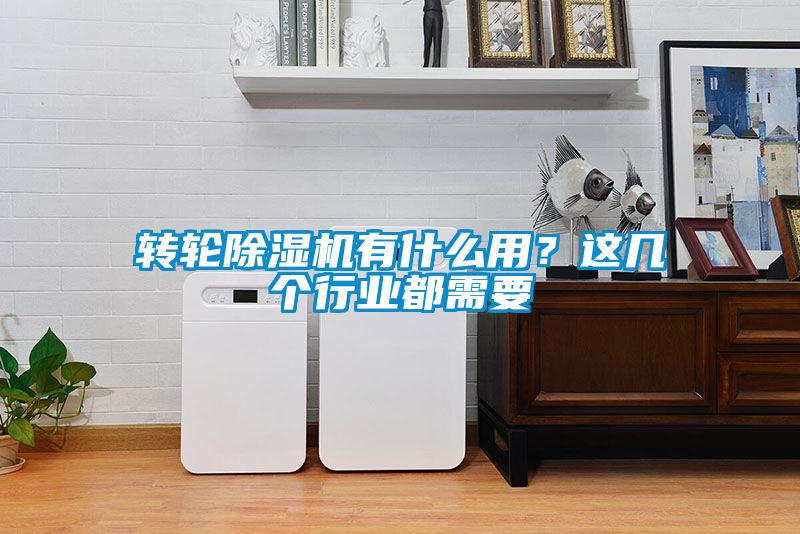 轉(zhuǎn)輪除濕機有什么用？這幾個行業(yè)都需要