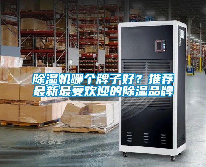 除濕機(jī)哪個(gè)牌子好？推薦最新最受歡迎的除濕品牌