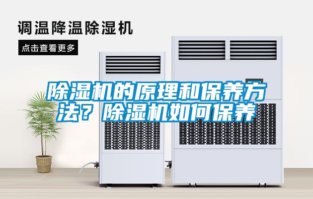除濕機(jī)的原理和保養(yǎng)方法？除濕機(jī)如何保養(yǎng)