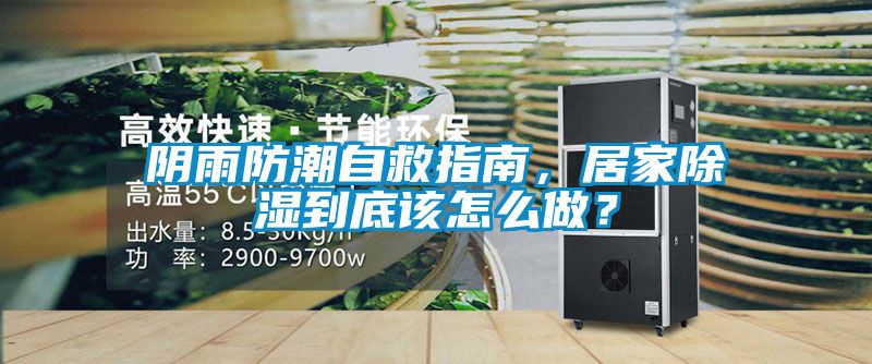 陰雨防潮自救指南，居家除濕到底該怎么做？