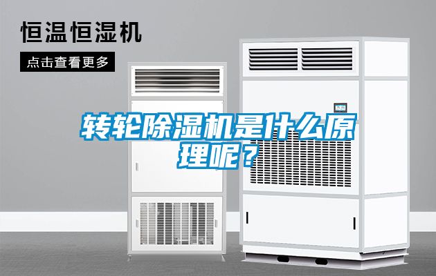 轉(zhuǎn)輪除濕機是什么原理呢？