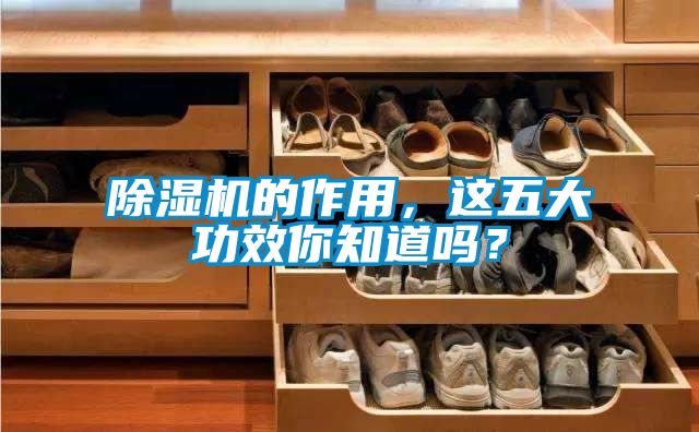 除濕機的作用，這五大功效你知道嗎？