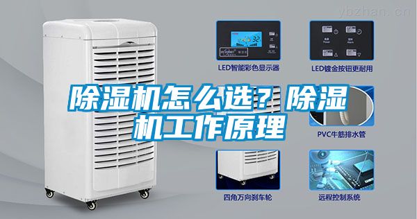 除濕機(jī)怎么選？除濕機(jī)工作原理