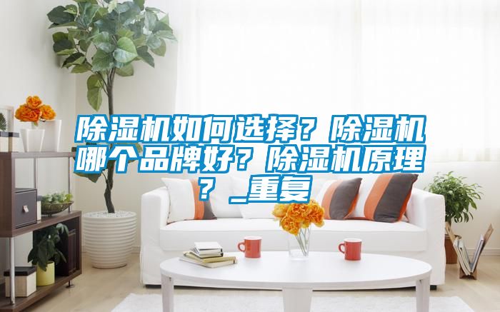 除濕機(jī)如何選擇？除濕機(jī)哪個品牌好？除濕機(jī)原理？_重復(fù)