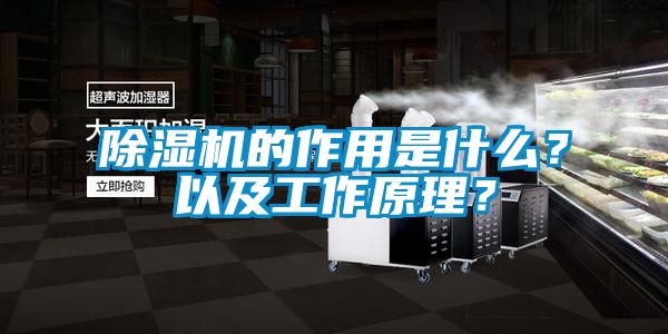 除濕機的作用是什么？以及工作原理？