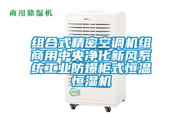 組合式精密空調(diào)機組商用中央凈化新風(fēng)系統(tǒng)工業(yè)防爆柜式恒溫恒濕機