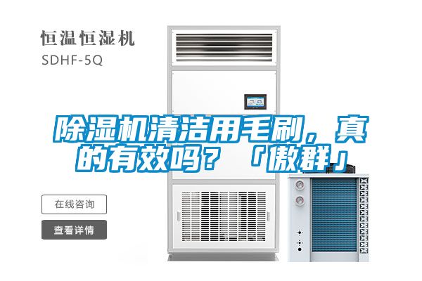 除濕機清潔用毛刷，真的有效嗎？「傲群」