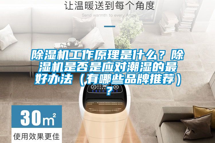 除濕機工作原理是什么？除濕機是否是應對潮濕的最好辦法（有哪些品牌推薦）？